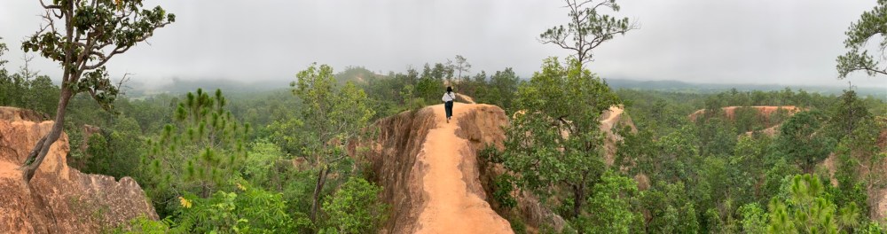 135CA964-84AD-40F0-8262-B510C41208EE_1_105_c