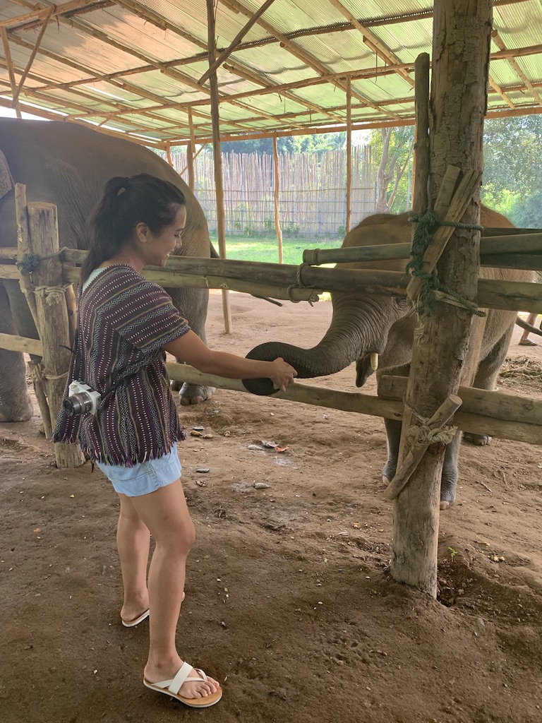 8450CD86-FEB3-4C22-8729-94485A82E567_1_105_c