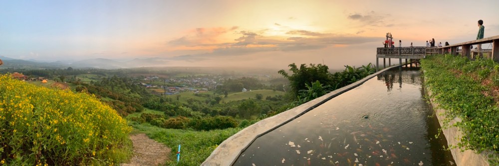 998394BA-A7B6-4C1A-8FFD-4328B319AD3F_1_105_c